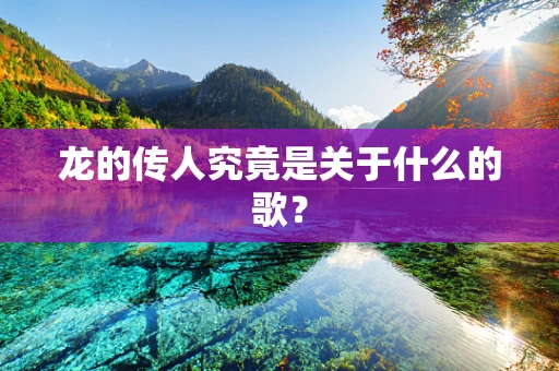 龙的传人究竟是关于什么的歌？