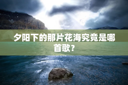 夕阳下的那片花海究竟是哪首歌？
