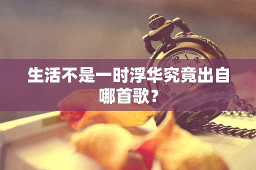 生活不是一时浮华究竟出自哪首歌？
