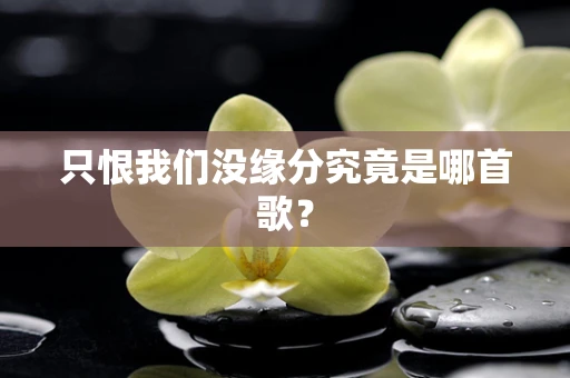 只恨我们没缘分究竟是哪首歌？