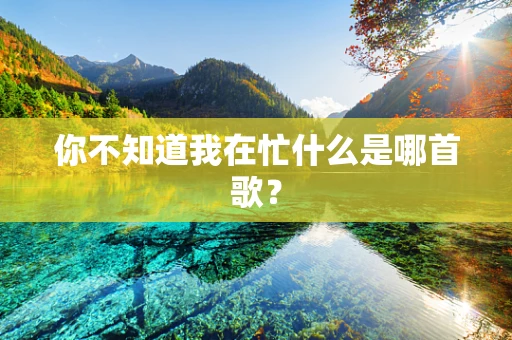 你不知道我在忙什么是哪首歌？