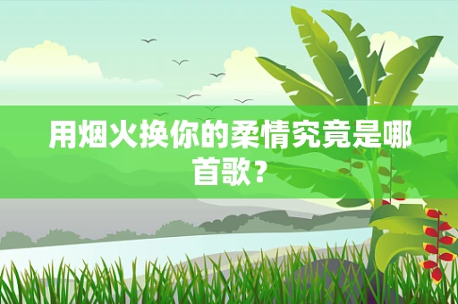 用烟火换你的柔情究竟是哪首歌？