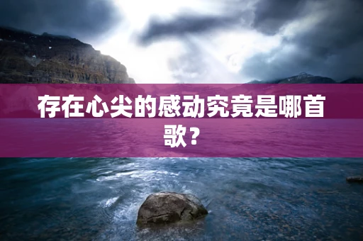 存在心尖的感动究竟是哪首歌？
