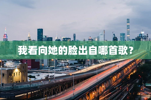 我看向她的脸出自哪首歌？