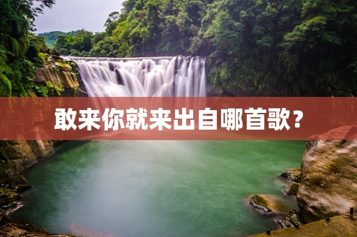 敢来你就来出自哪首歌？