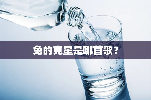 兔的克星是哪首歌？