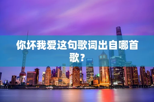 你坏我爱这句歌词出自哪首歌？