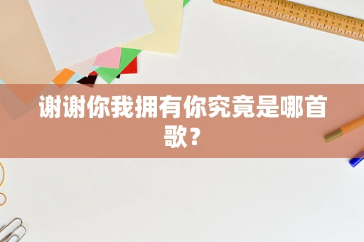 谢谢你我拥有你究竟是哪首歌？