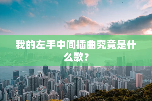 我的左手中间插曲究竟是什么歌？