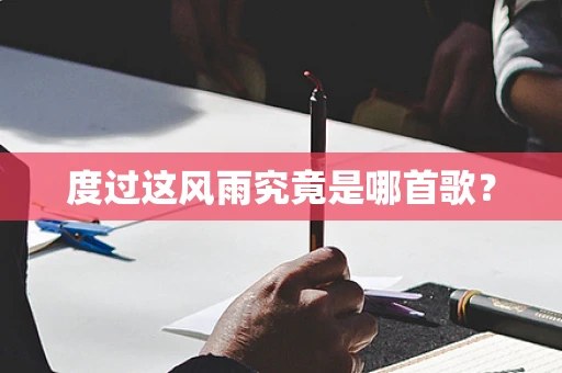 度过这风雨究竟是哪首歌？