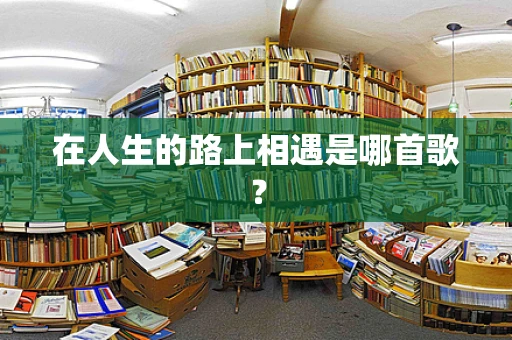 在人生的路上相遇是哪首歌？