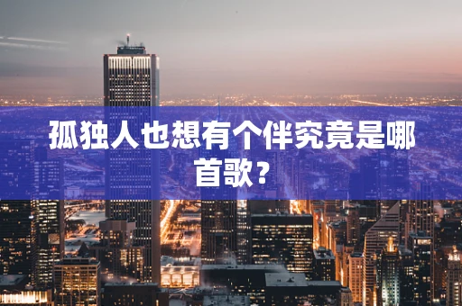 孤独人也想有个伴究竟是哪首歌？