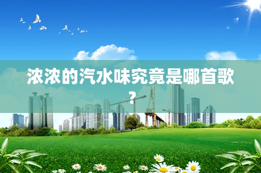 浓浓的汽水味究竟是哪首歌？