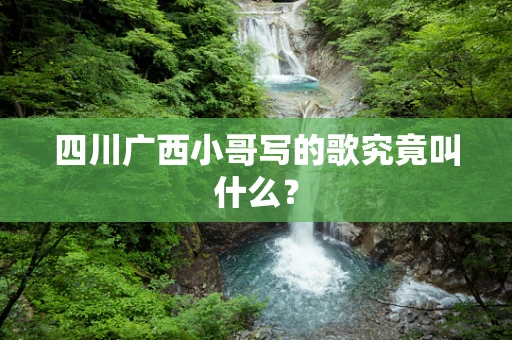四川广西小哥写的歌究竟叫什么？