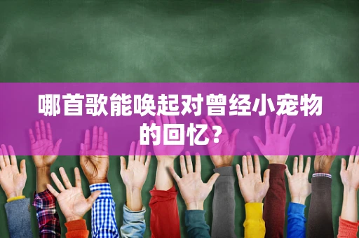 哪首歌能唤起对曾经小宠物的回忆？