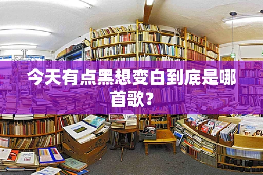 今天有点黑想变白到底是哪首歌？