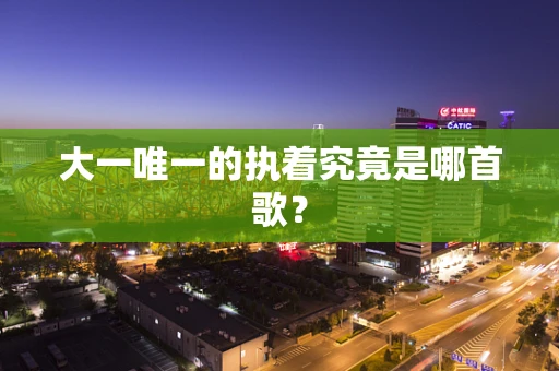 大一唯一的执着究竟是哪首歌？