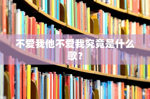 不爱我他不爱我究竟是什么歌？