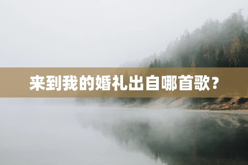 来到我的婚礼出自哪首歌？