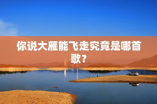 你说大雁能飞走究竟是哪首歌？