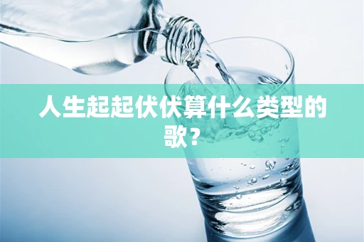 人生起起伏伏算什么类型的歌？