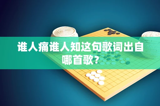 谁人痛谁人知这句歌词出自哪首歌？