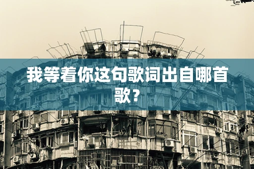 我等着你这句歌词出自哪首歌？