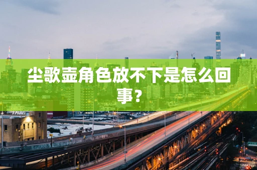 尘歌壶角色放不下是怎么回事？