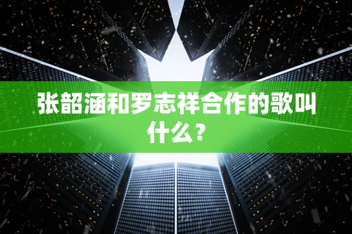 张韶涵和罗志祥合作的歌叫什么？