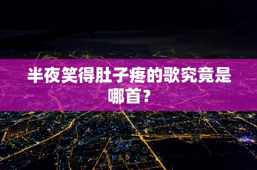 半夜笑得肚子疼的歌究竟是哪首？