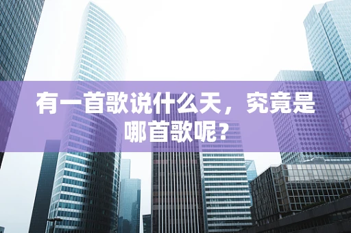 有一首歌说什么天，究竟是哪首歌呢？