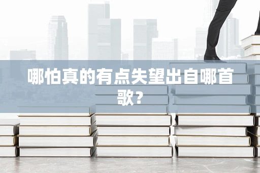 哪怕真的有点失望出自哪首歌？