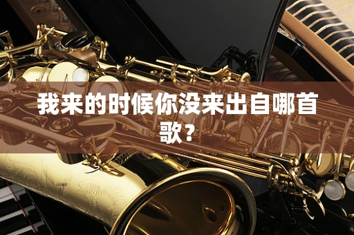 我来的时候你没来出自哪首歌？
