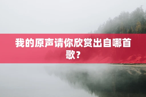 我的原声请你欣赏出自哪首歌？
