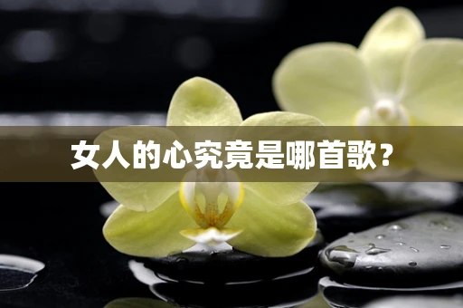 女人的心究竟是哪首歌？