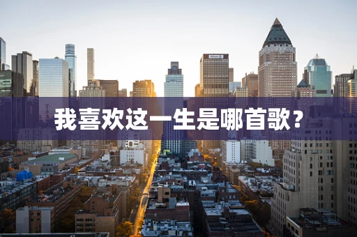 我喜欢这一生是哪首歌？