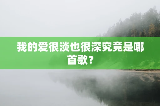 我的爱很淡也很深究竟是哪首歌？