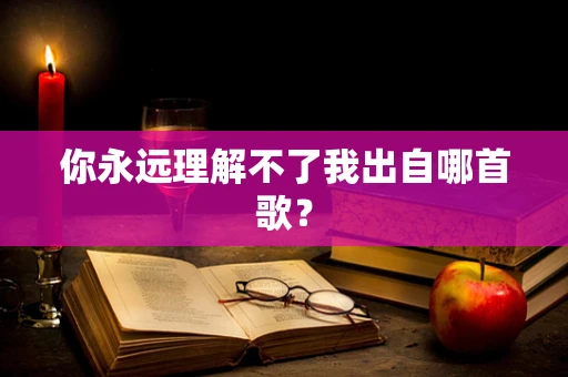 你永远理解不了我出自哪首歌？