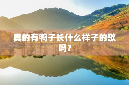真的有鸭子长什么样子的歌吗？