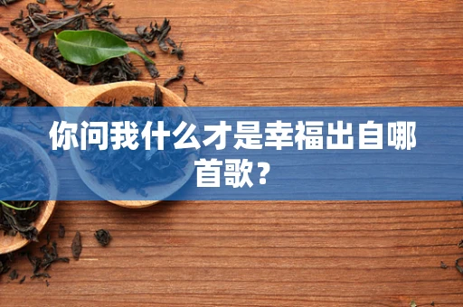 你问我什么才是幸福出自哪首歌？