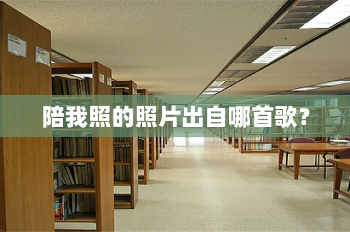 陪我照的照片出自哪首歌？