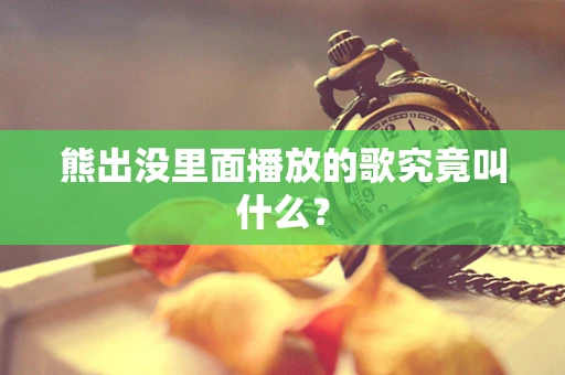 熊出没里面播放的歌究竟叫什么？