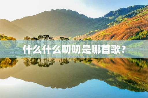 什么什么叨叨是哪首歌？
