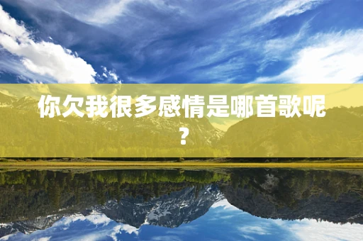 你欠我很多感情是哪首歌呢？