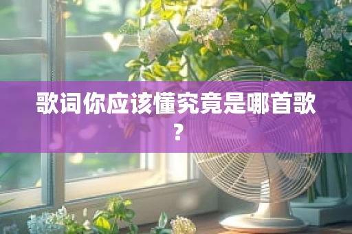 歌词你应该懂究竟是哪首歌？