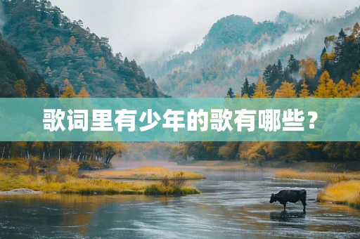 歌词里有少年的歌有哪些？