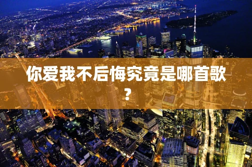 你爱我不后悔究竟是哪首歌？