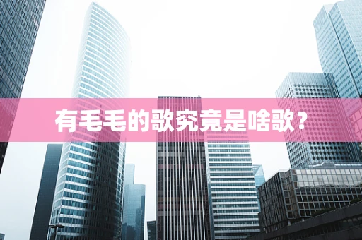 有毛毛的歌究竟是啥歌？