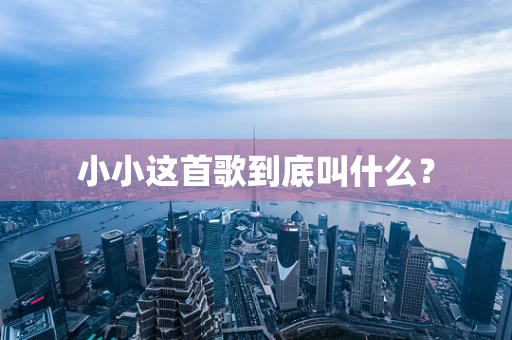 小小这首歌到底叫什么？