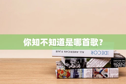 你知不知道是哪首歌？